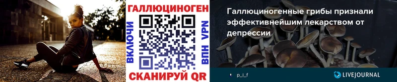 Псилоцибиновые грибы MAGIC MUSHROOMS  где купить   Моршанск 