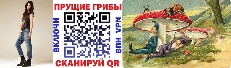 Галлюциногенные грибы Cubensis Моршанск